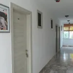 Native * Ovacık
