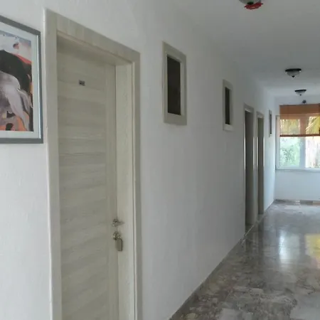 Native * Ovacık